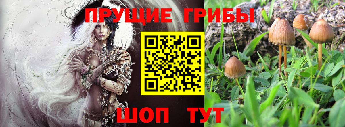 Галлюциногенные грибы MAGIC MUSHROOMS Сосновый Бор