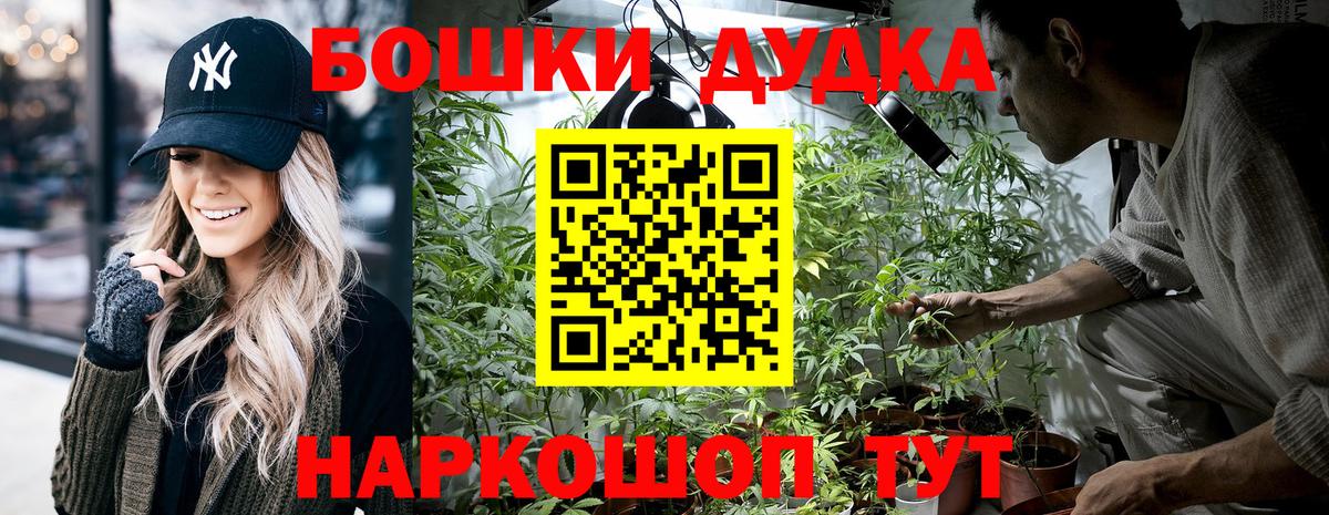 Сосновый Бор  Шишки марихуана марихуана  Марихуана THC 21%  Вход с VPN 
